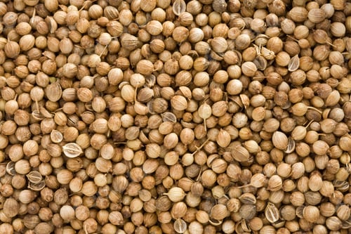 Preview: Coriander Spices As Whole Background