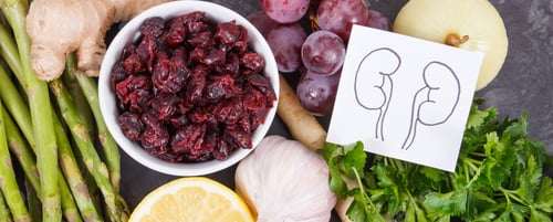 Preview: Best Nutritious Food For Kidneys Health. Concept Of Healthy Eating As Source Natural Vitamins