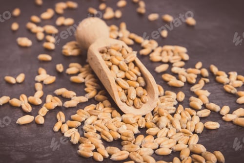 Preview: Vintage Photo, Closeup Of Rye Or Wheat Grains With Wooden Spoon, Agriculture And Harvest Concept
