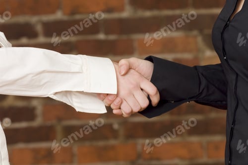 Preview: Woman Making The Deal
