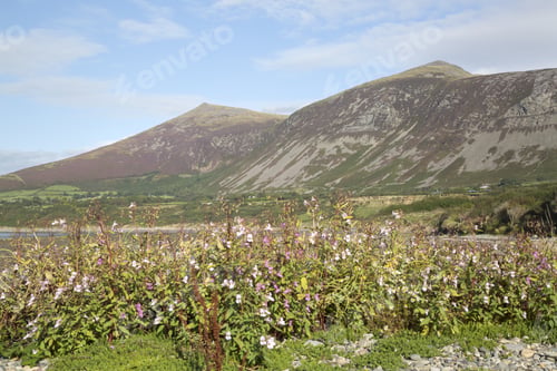 Preview: Landscape At Trefor
