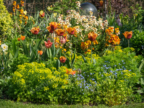 Preview: Springtime In A German Garden