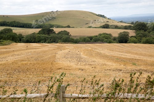 Preview: Ditchling Beacon, East Sussex, England, Uk