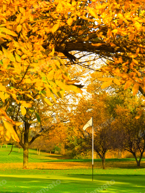 Aperçu: Golf Course In Autumn: Putting Green Surrounded By Fall Color (Focus On Flag)