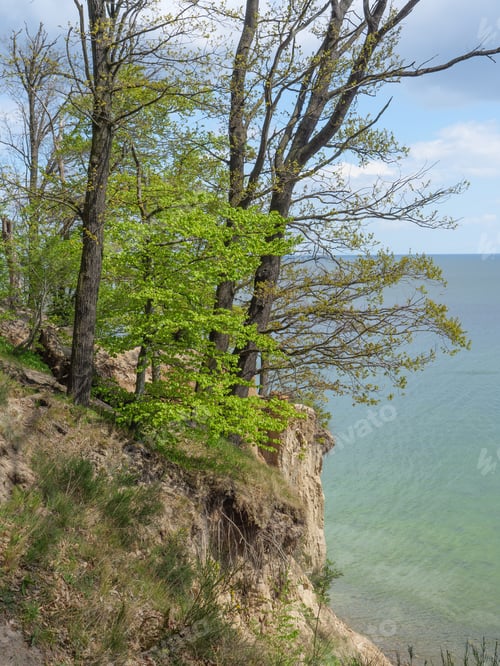 Preview: The Baltic Sea In Poland Near Gdansk