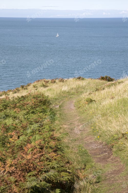 Preview: Cliffs And Island At Llanbadrig; Cemaes; Anglesey; Wales; Uk