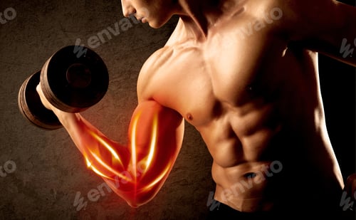 Preview: Fit Bodybuilder Lifting Weight With Red Muscle Concept On Background