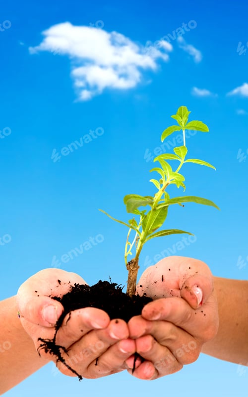 Preview: Hands Holding A Newly Born Plant With A Sky In The Background