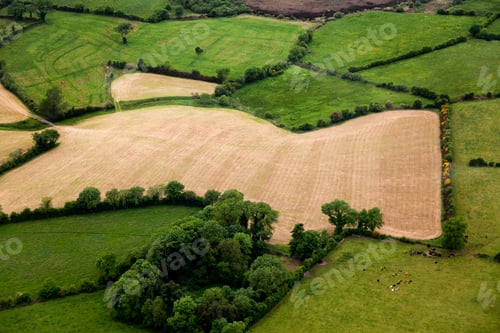 Preview: Beautiful Landscape Of A Harvest Field Viewed From The Air