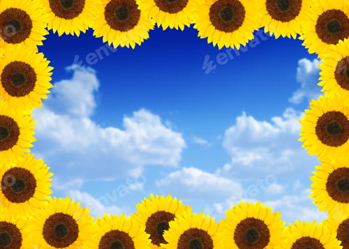 Preview: Beautiful Sunflower Frame With The Sky In The Background