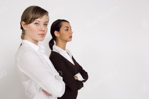 Preview: Businesswoman Holding A Brief Case.
