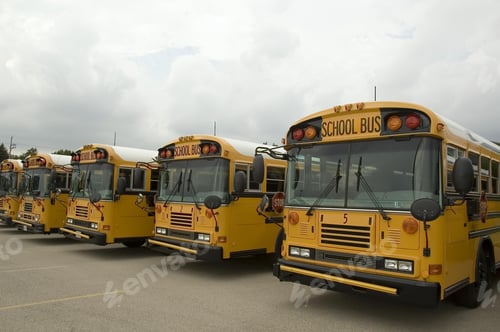 Preview: Row Of School Buses In Parking Lot