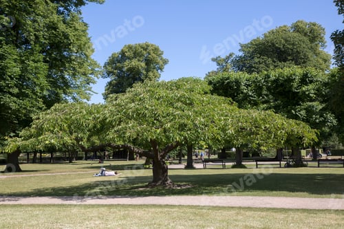 Preview: Kings Garden Park; Copenhagen; Denmark