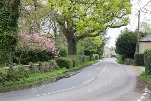 Preview: Open Road; New Forest; Hampshire; England; Uk
