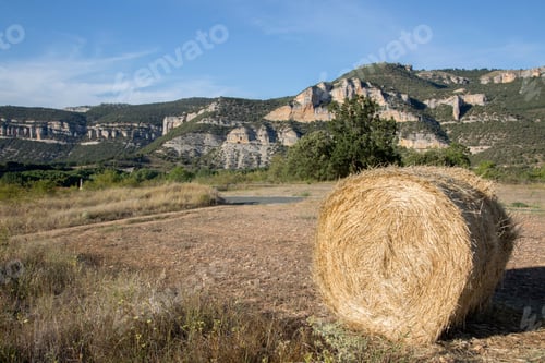 Preview: View From Pesquera De Ebro And Hay Barrel; Burgos; Spain