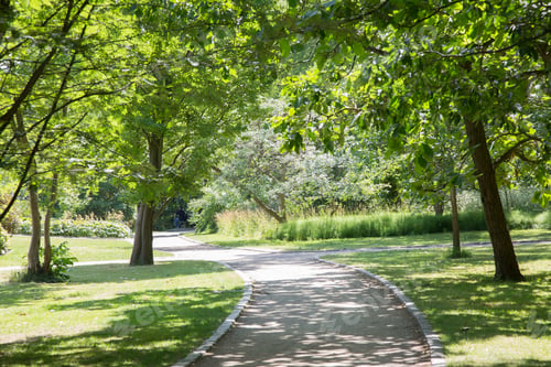Preview: Footpath In Botanical Garden; Copenhagen; Denmark