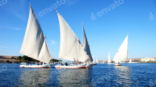 Preview: Beautiful Regatta Boats By The Sea On A Sunny Day