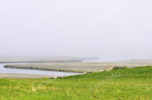 Preview: Tidewater Stream Winds Across Salt Marsh Into Misty Oblivion In Cape Cod