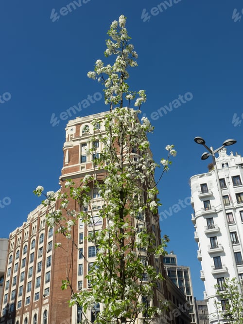 Preview: Madrid, The Capital City Of Spain