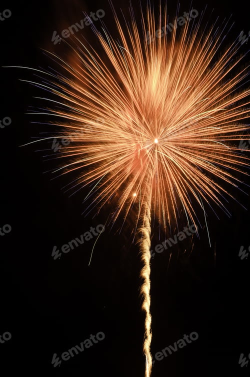 Preview: Celebration With Reddish Orange Pyrotechnic Flower In The Night Sky