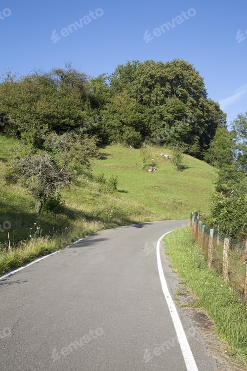 Preview: Open Road, Picos De Europa Mountain; Spain
