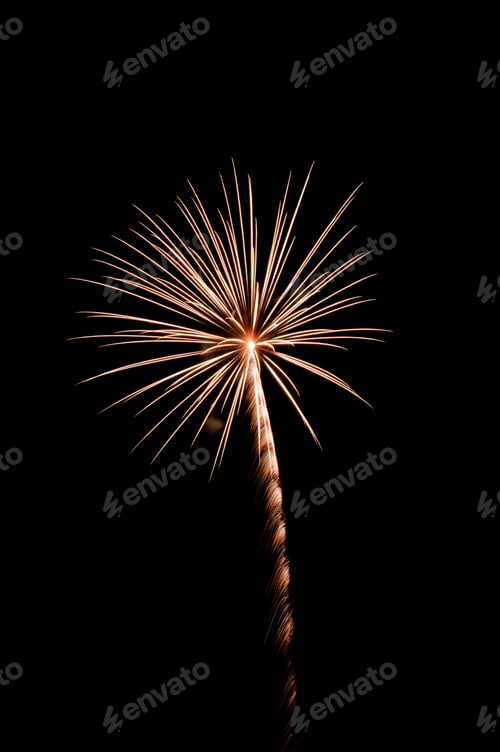 Preview: Burst Of Fireworks With Feathery Rocket Trail