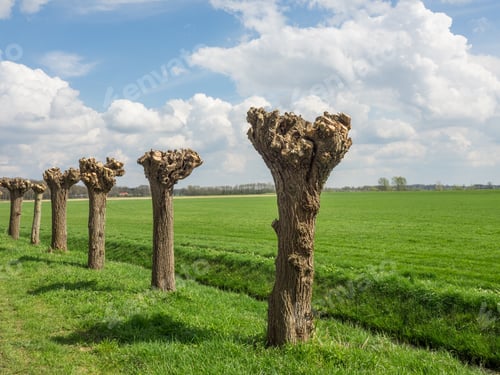 Preview: The Small City Of Eibergen In The Netherlands