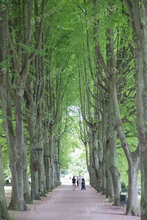 Preview: Path In Slottstradgardens Park; Malmo; Sweden