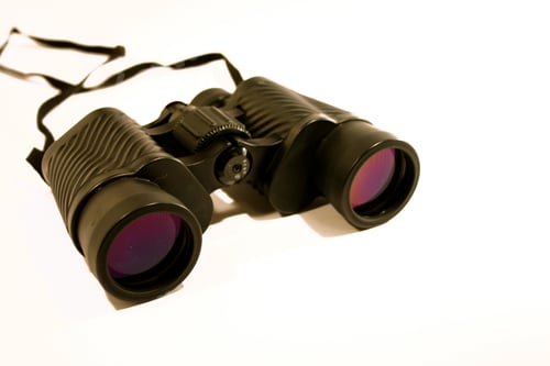 Preview: Isolated Binoculars