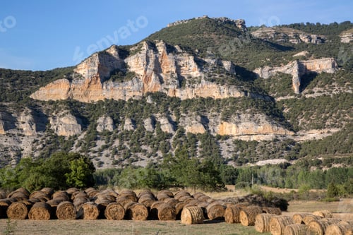 Preview: View Near Pesquera De Ebro With Barrels Of Hay; Burgos; Spain