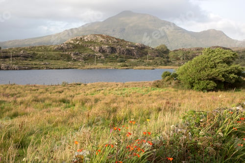Preview: Coastline Near Beach; Connemara National Park; Ireland