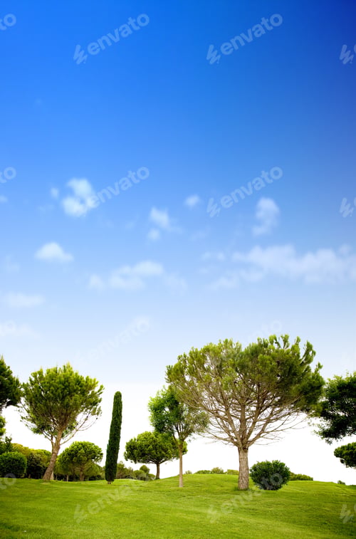 Visualização: Beautiful Summer Landscape - Trees And Grass With A Beautiful Blue Sky In The Background