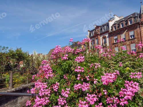 Preview: Wissembourg In France