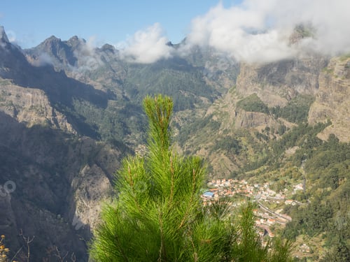 Preview: The Portugese Island Madeira
