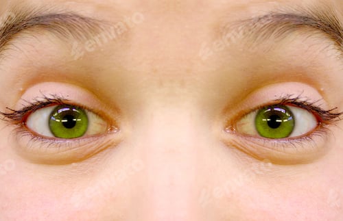 Preview: Beautiful Green Eyes Closed Up