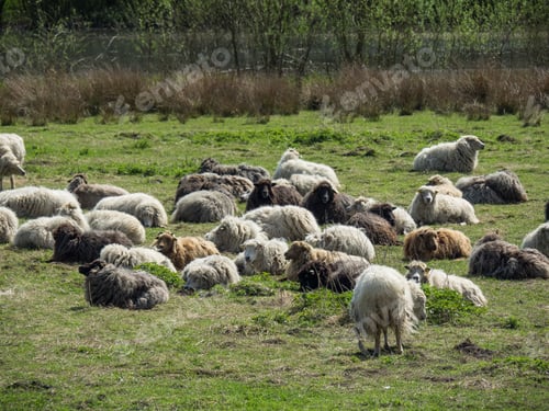 Preview: The Small City Of Eibergen In The Netherlands