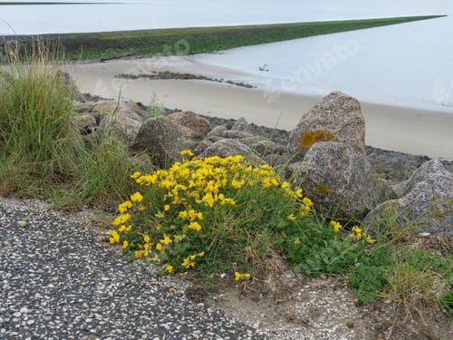 Preview: Baltrum Island In The North Sea