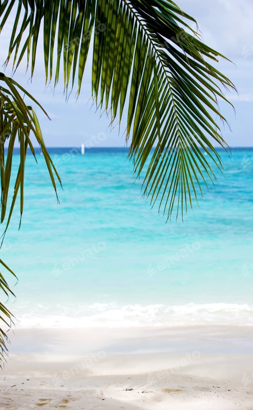 Preview: Beach Background On A Beautiful Place With A Palmtree Leave At The Top