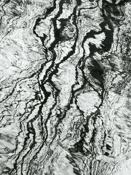 Preview: Aquatic Abstract In Autumn: Distorted Reflection Of Bare Trees On Surface Of Stream, In Black And