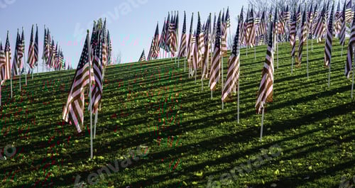 Preview: American Flags on a Green Hillside, Memorial Day