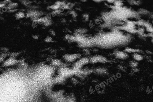 Preview: Palette Of Pavement For Summer Impressionism: Part Of A Dappled Asphalt Road Through Woods In