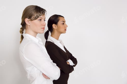 Preview: Businesswoman Holding A Brief Case.