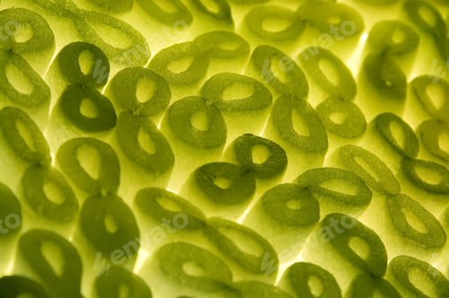Preview: Packing Peanuts In Greenish Light