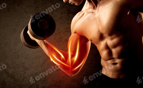 Preview: Fit Bodybuilder Lifting Weight With Red Muscle Concept On Background