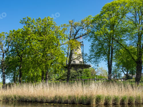 Preview: The Dutch City Of Alkmaar