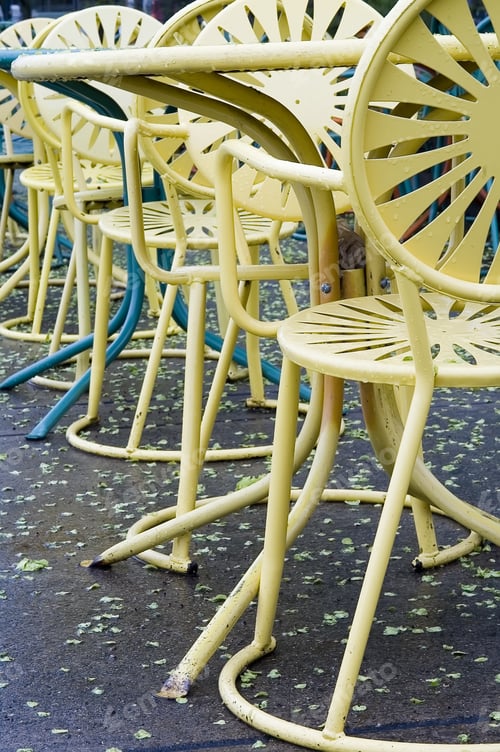 Preview: Yellow Cafe Chairs And Tables On Wet Pavement With Yellow Petals
