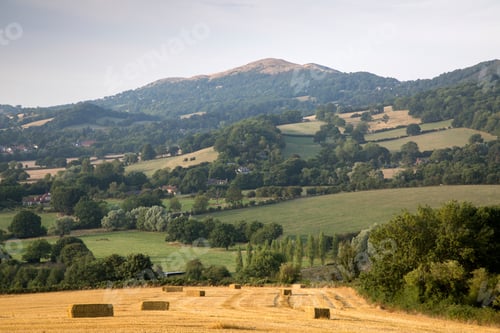 Preview: Fields In Malvern Hills, England; Uk