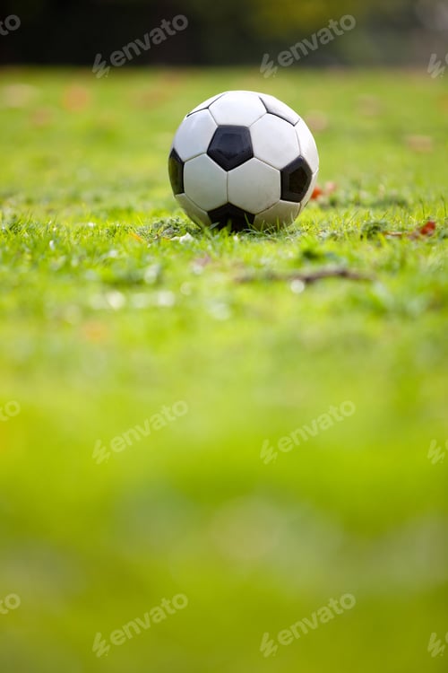 Preview: Football Or Soccer Ball On A Green Lawn - Outdoors