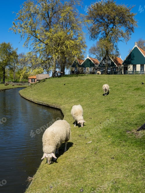 Preview: The Netherlands