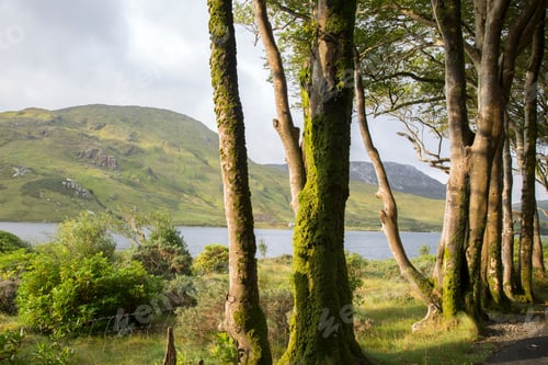 Preview: Kylemore Lough Lake; Connemara National Park; Ireland